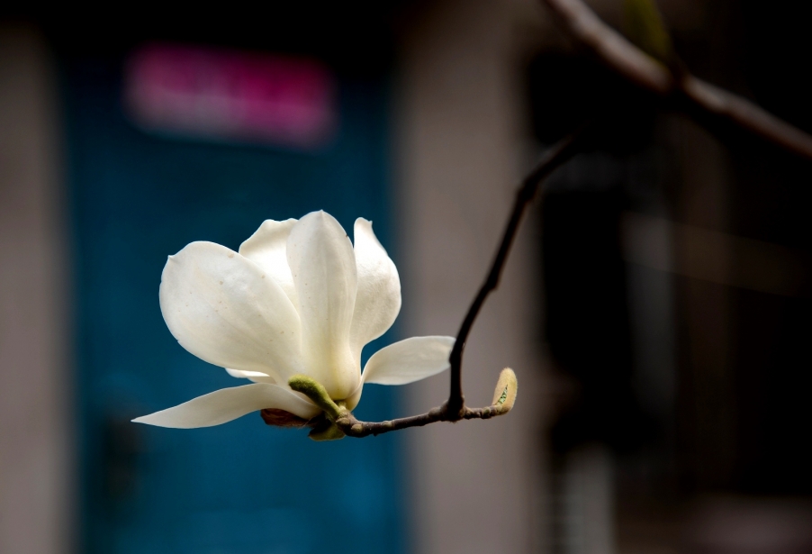DSC_0072.JPG