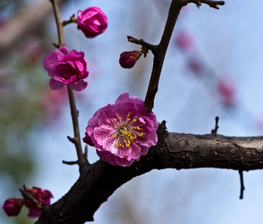 DSC_7728.jpg