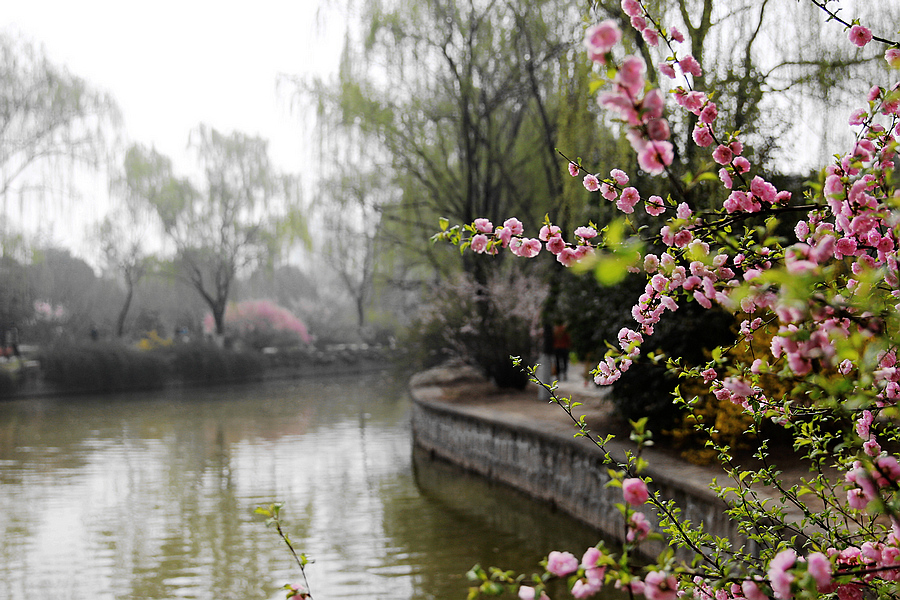 IMG_2645_副本.jpg