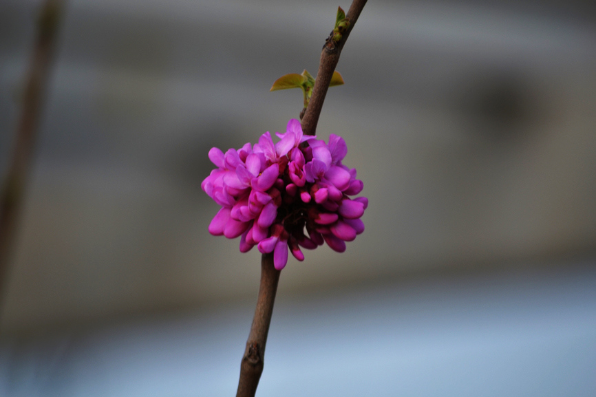 DSC_0182.jpg