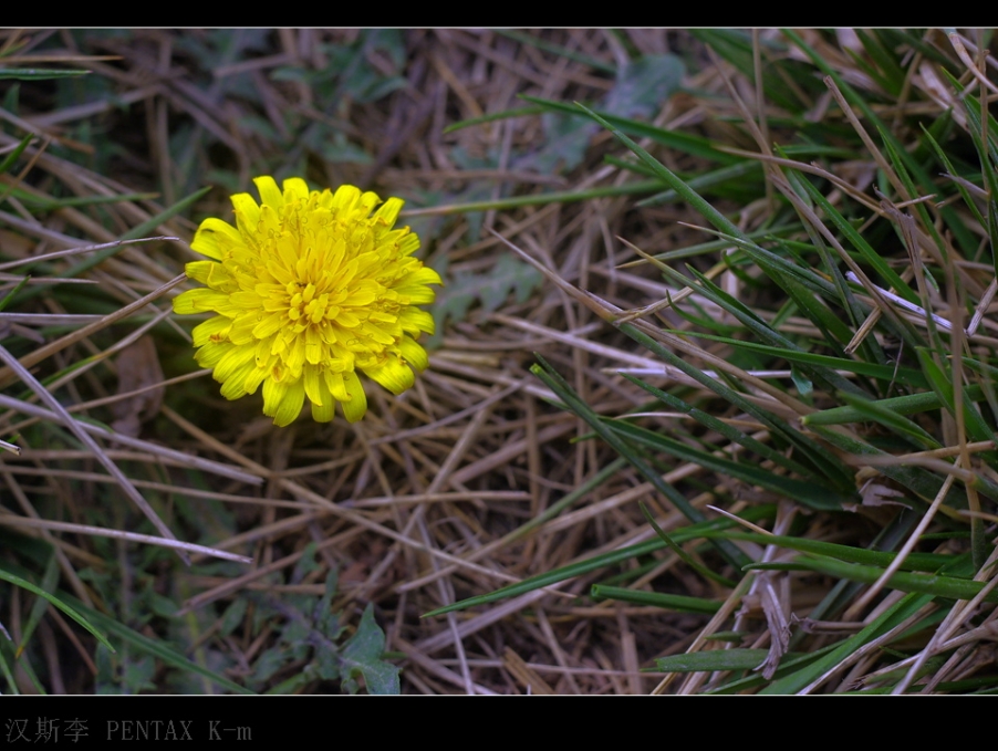 IMGP3046.jpg