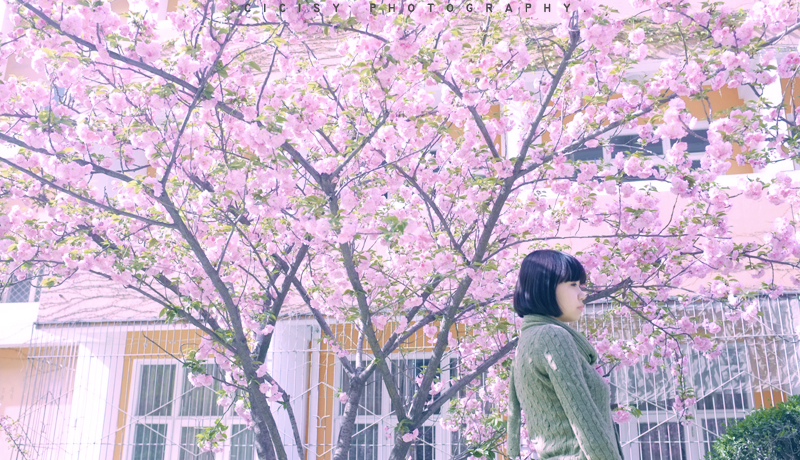 DSCF3915.JPG