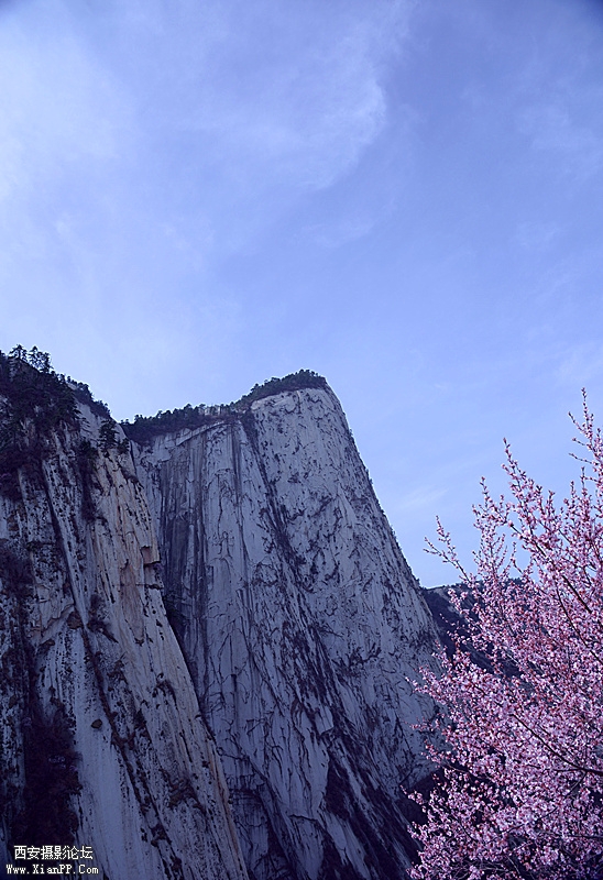 DSC_0788_副本.jpg