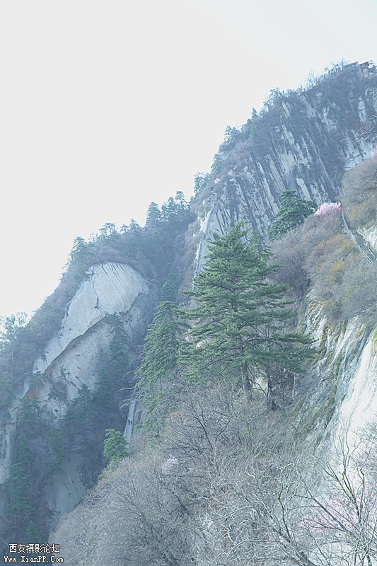 DSC_0808_副本.jpg
