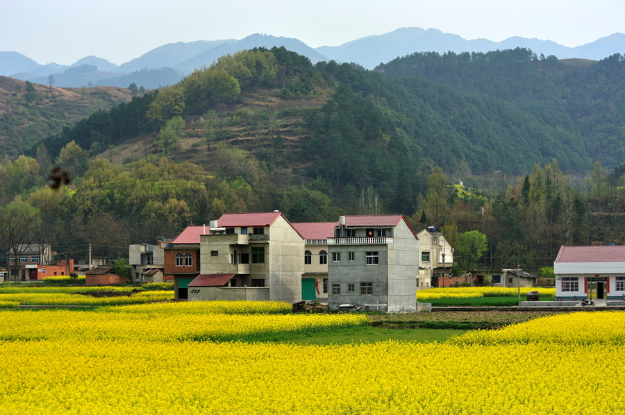 DSC_2861_副本.jpg