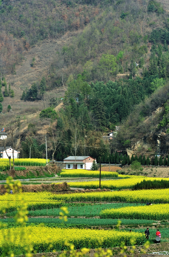 DSC_2902_副本.jpg
