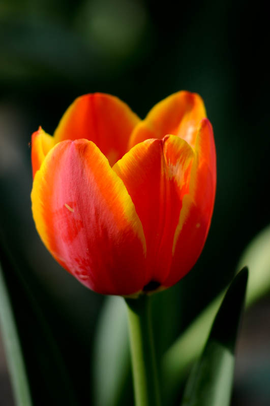 DSC_1061.jpg