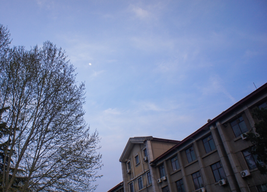 20130323-DSC05168.jpg