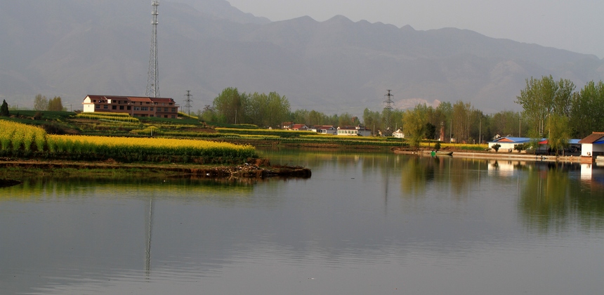 汉中油菜花 092.jpg