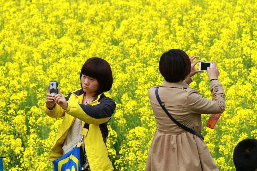 汉中油菜花 272.jpg