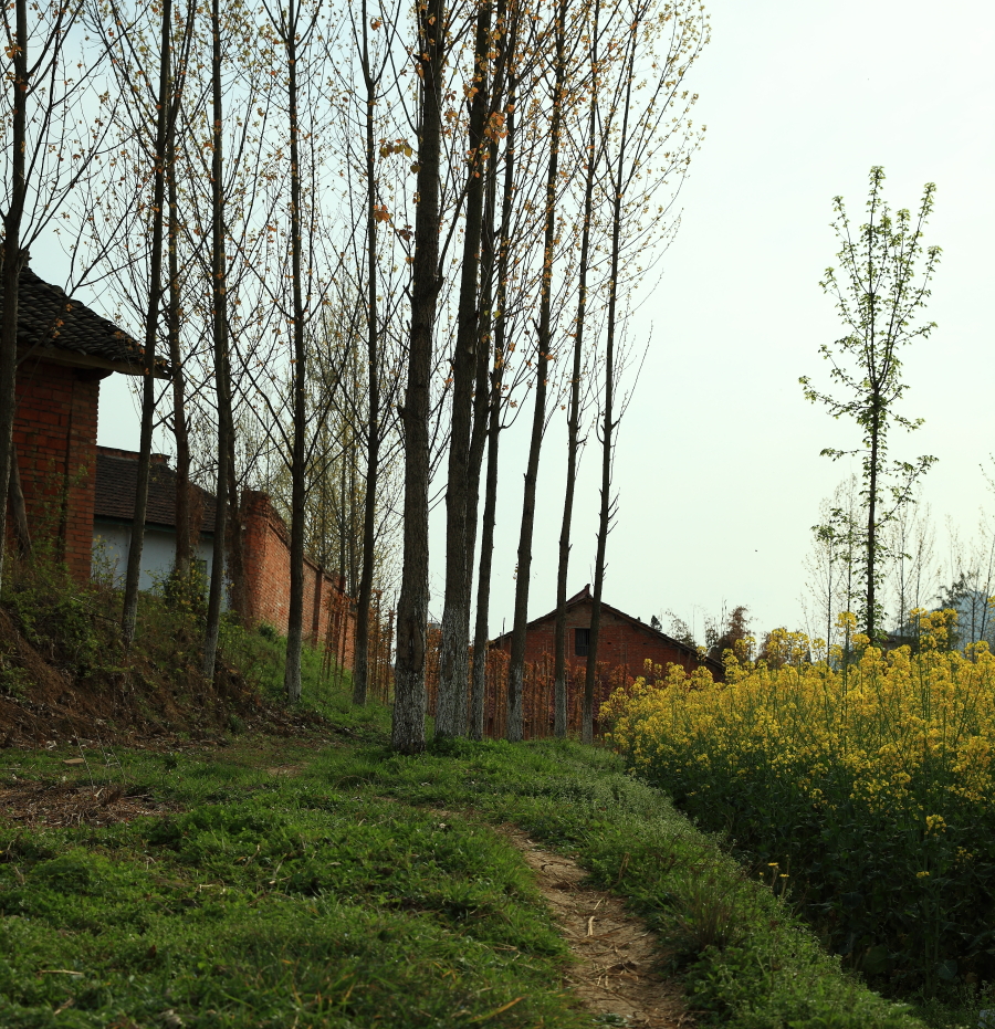 DPP_00204.JPG