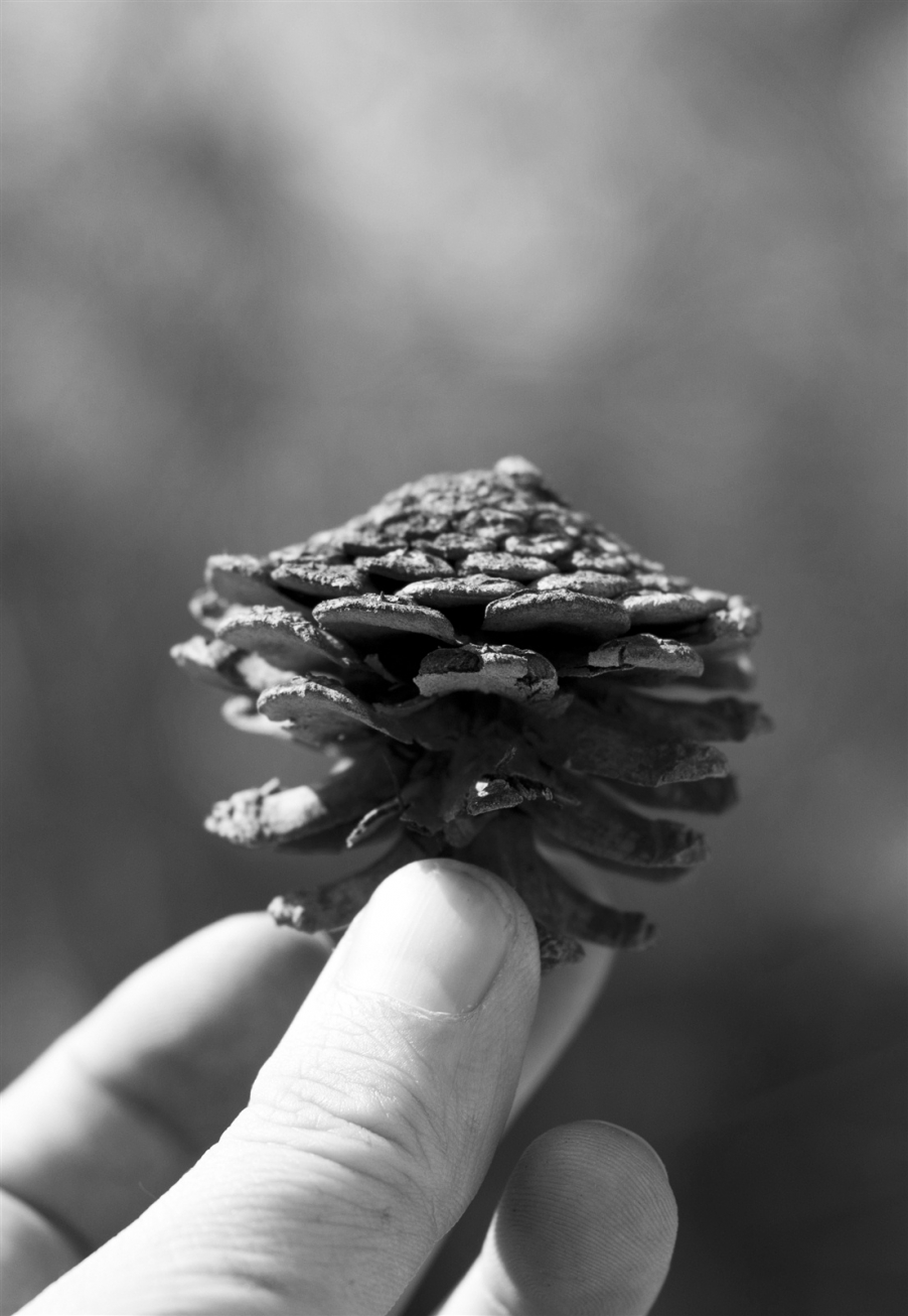 psb (5).jpg