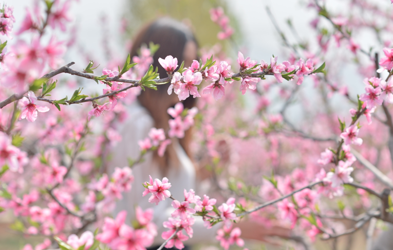 QQ20130325-5.png