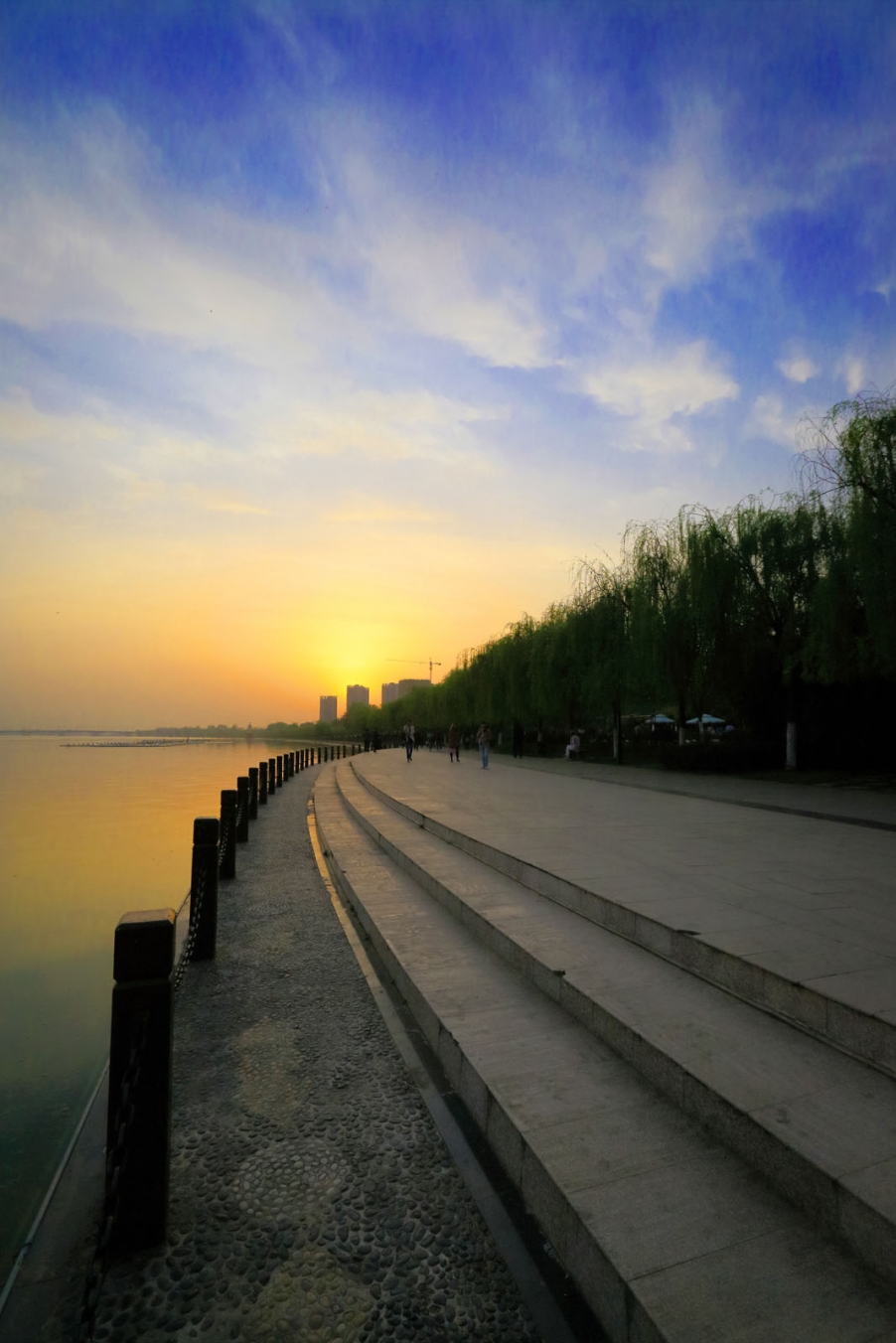 汉中油菜花156 (2).jpg