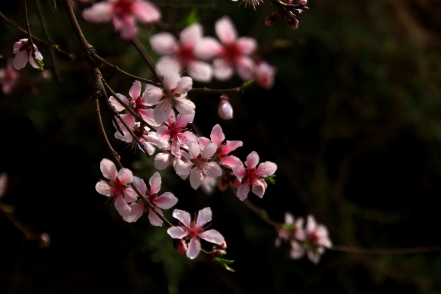 _MG_7349A_调整大小.jpg
