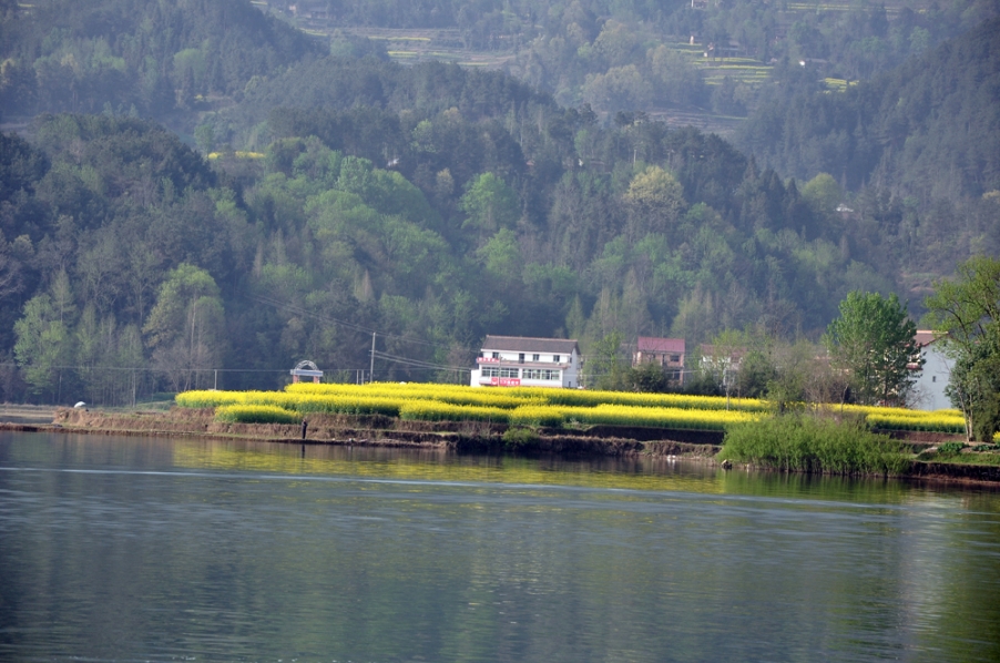 DSC_0552.JPG