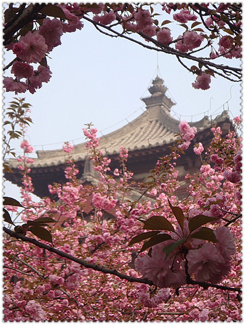 DSC04035_副本.jpg