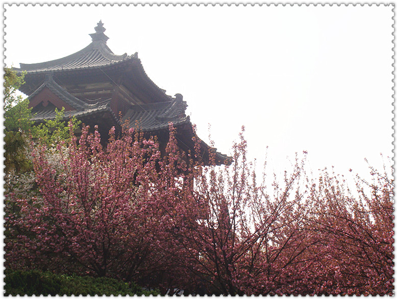 DSC04074_副本.jpg