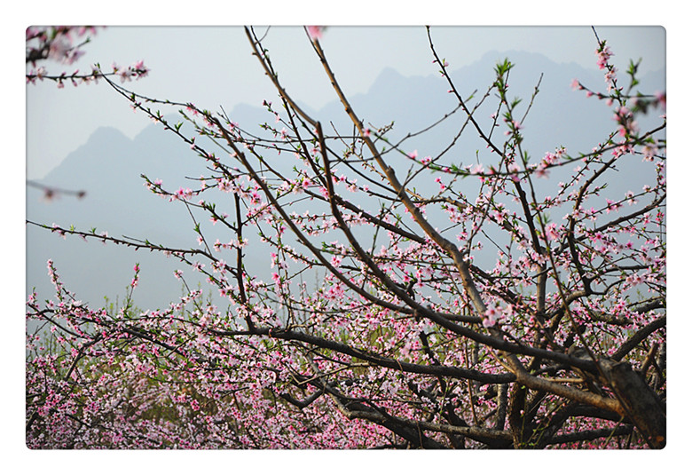 DSC_0009_副本.jpg