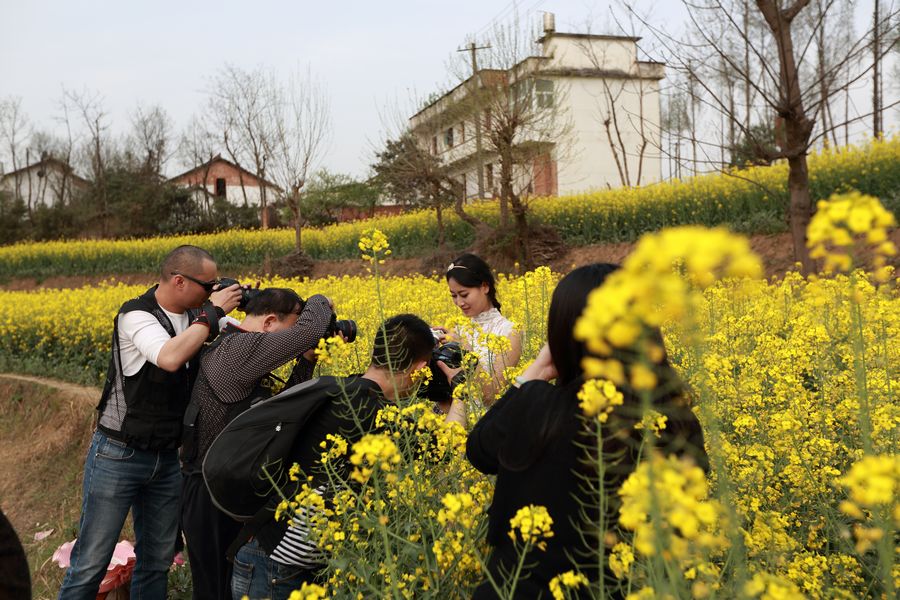汉中油菜花记0257.JPG