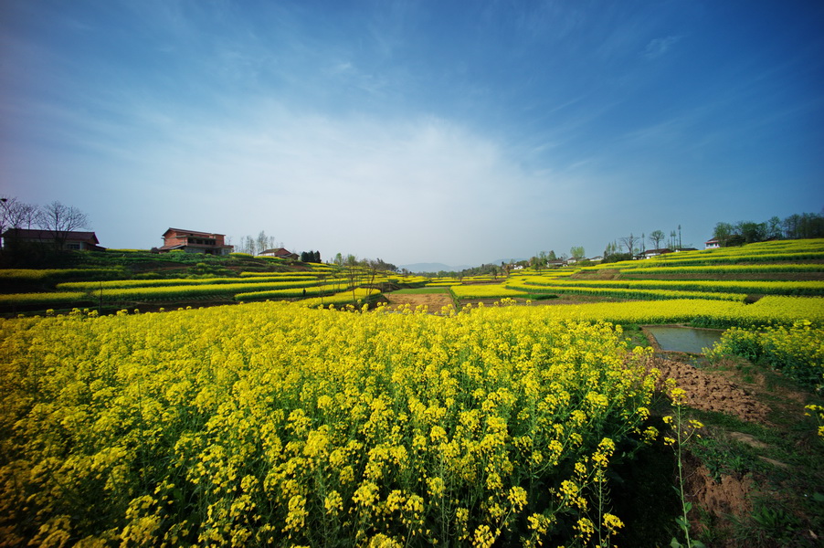 L1005116_调整大小.jpg
