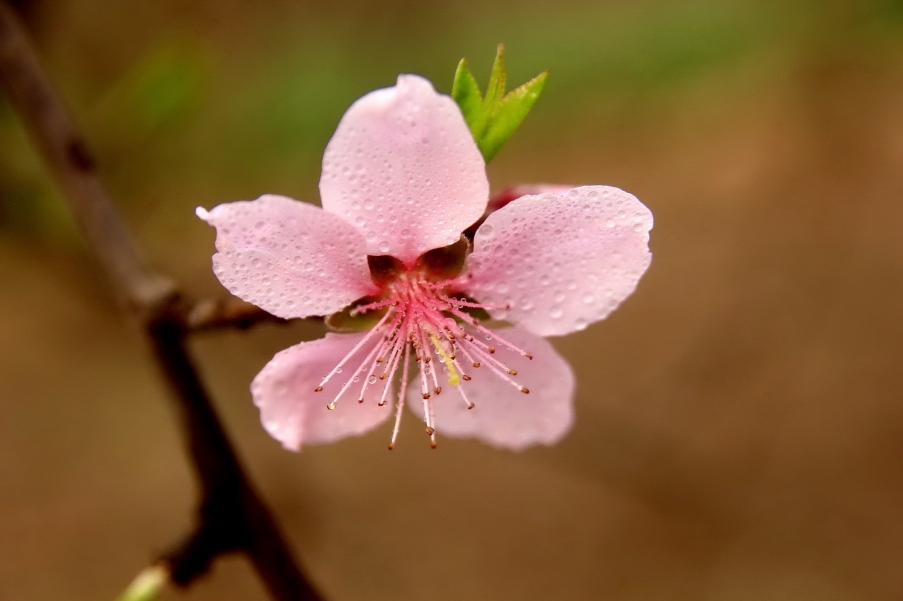 _MG_7572AA_调整大小.jpg