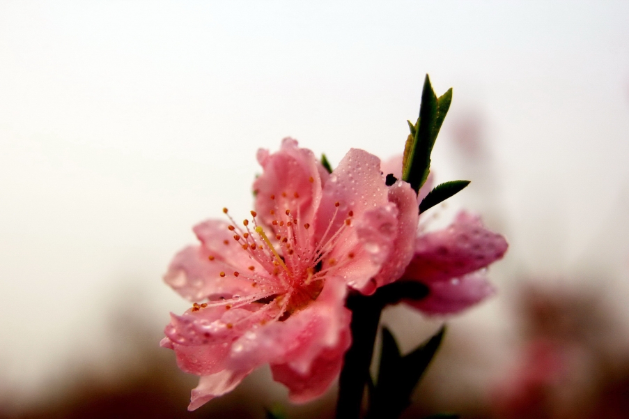 _MG_7580AA_调整大小.jpg