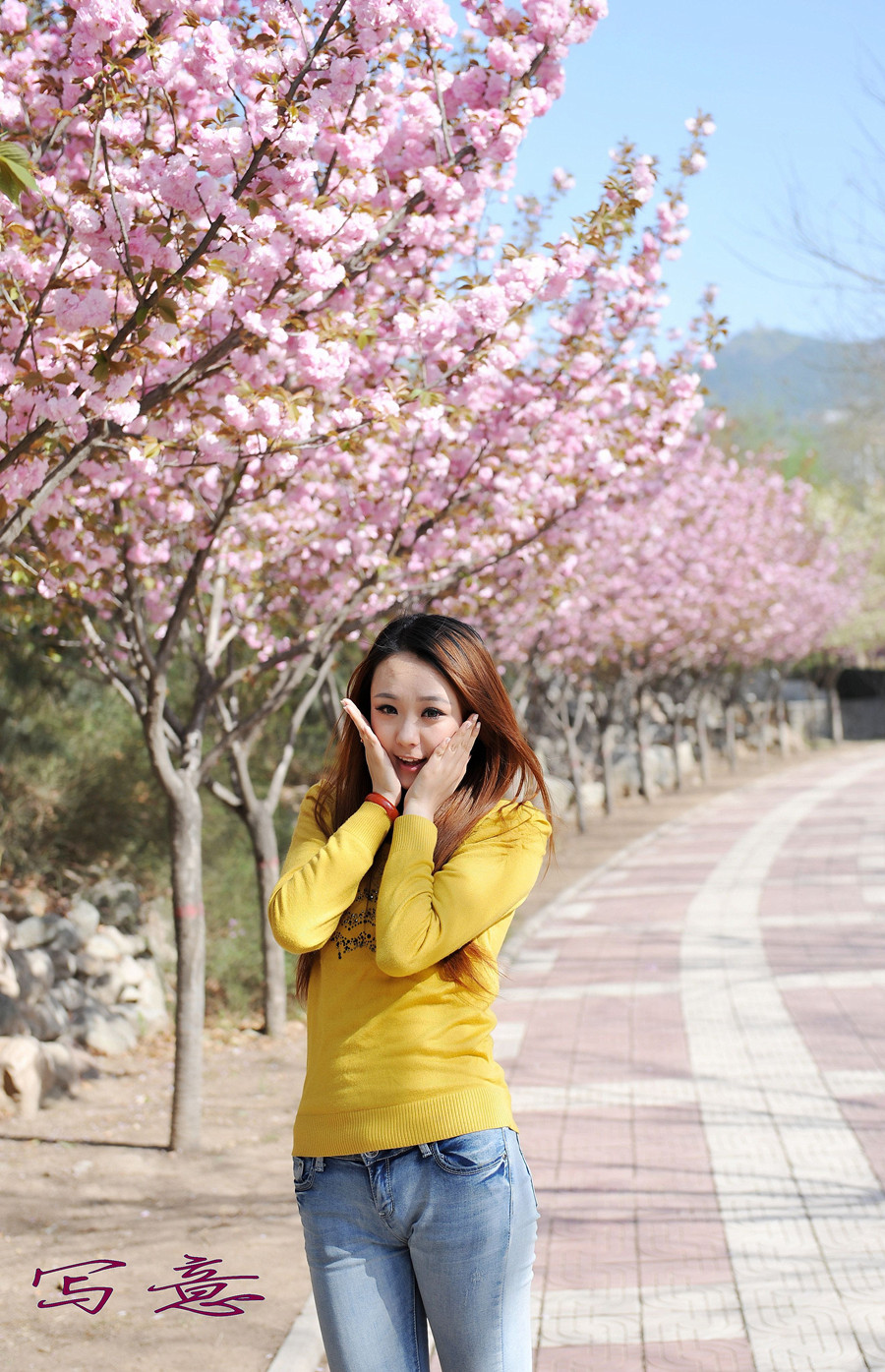 春光美 364_副本_conew1_副本.jpg