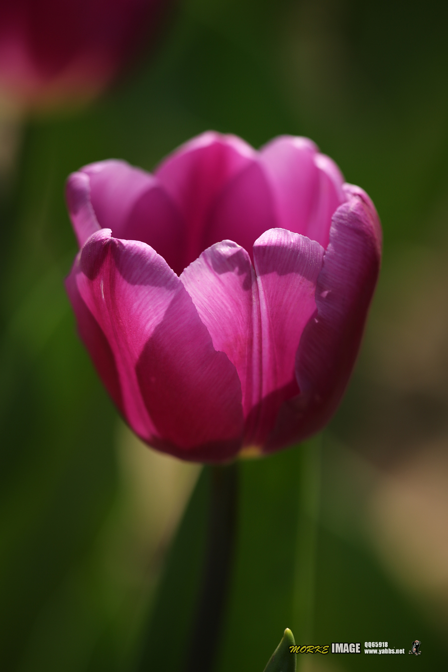 1G8A4892a.jpg
