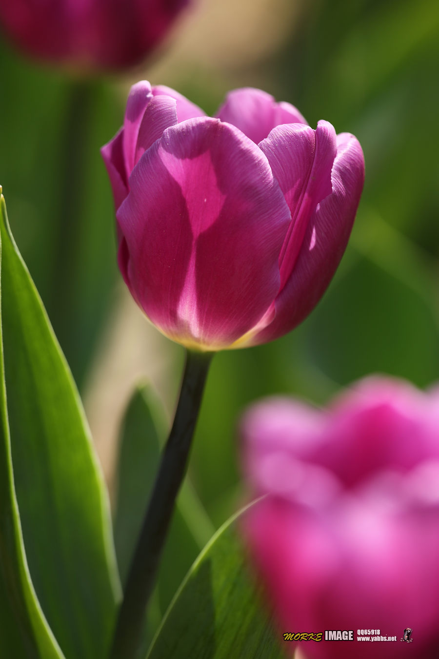 1G8A4893a.jpg