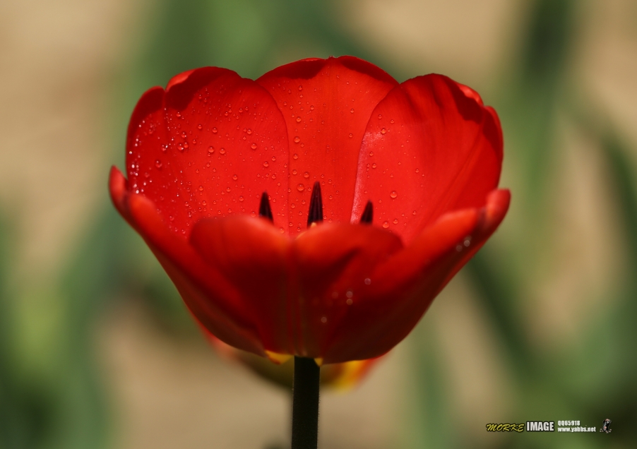 1G8A4827a.jpg