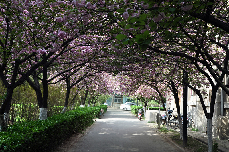 DSC_0005_副本.jpg
