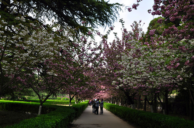 DSC_0060_副本.jpg