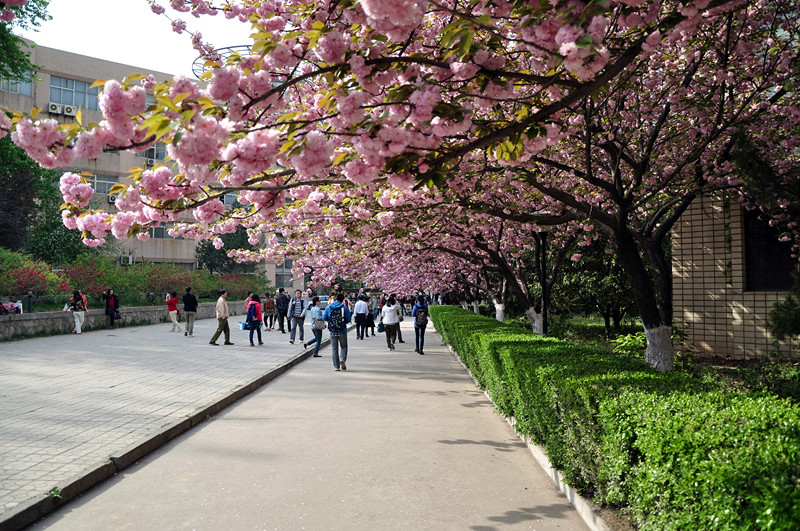 DSC_0112_副本.jpg