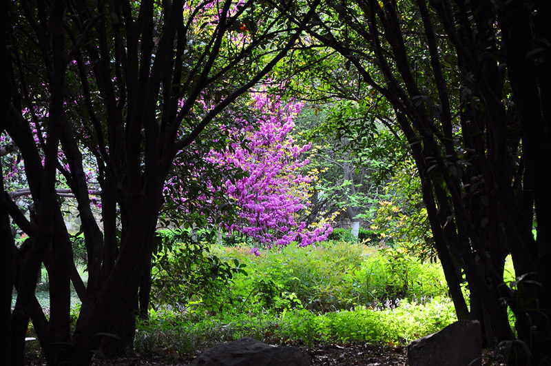 DSC_0269_副本.jpg