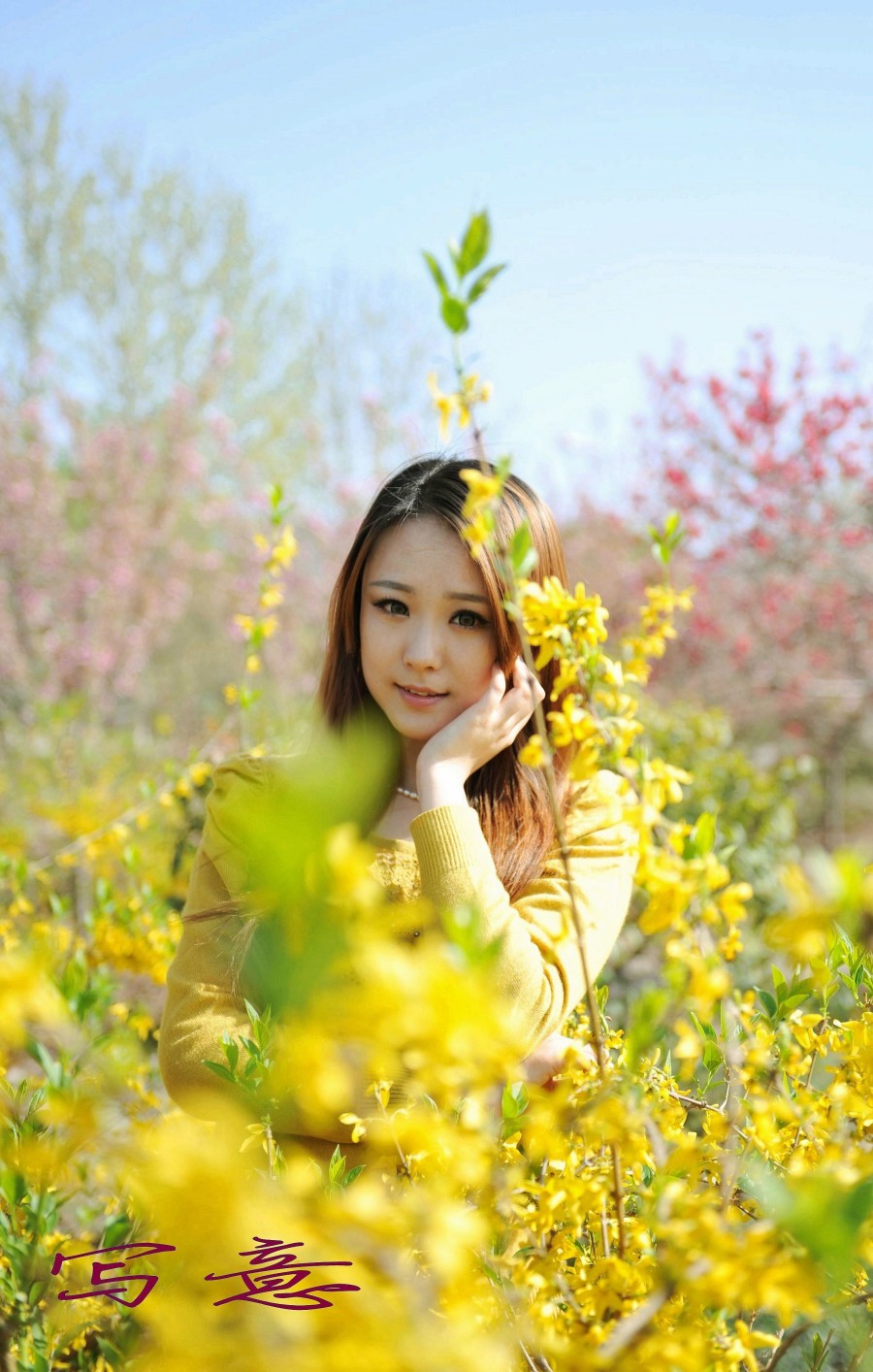 春光美 248_副本_conew2.jpg