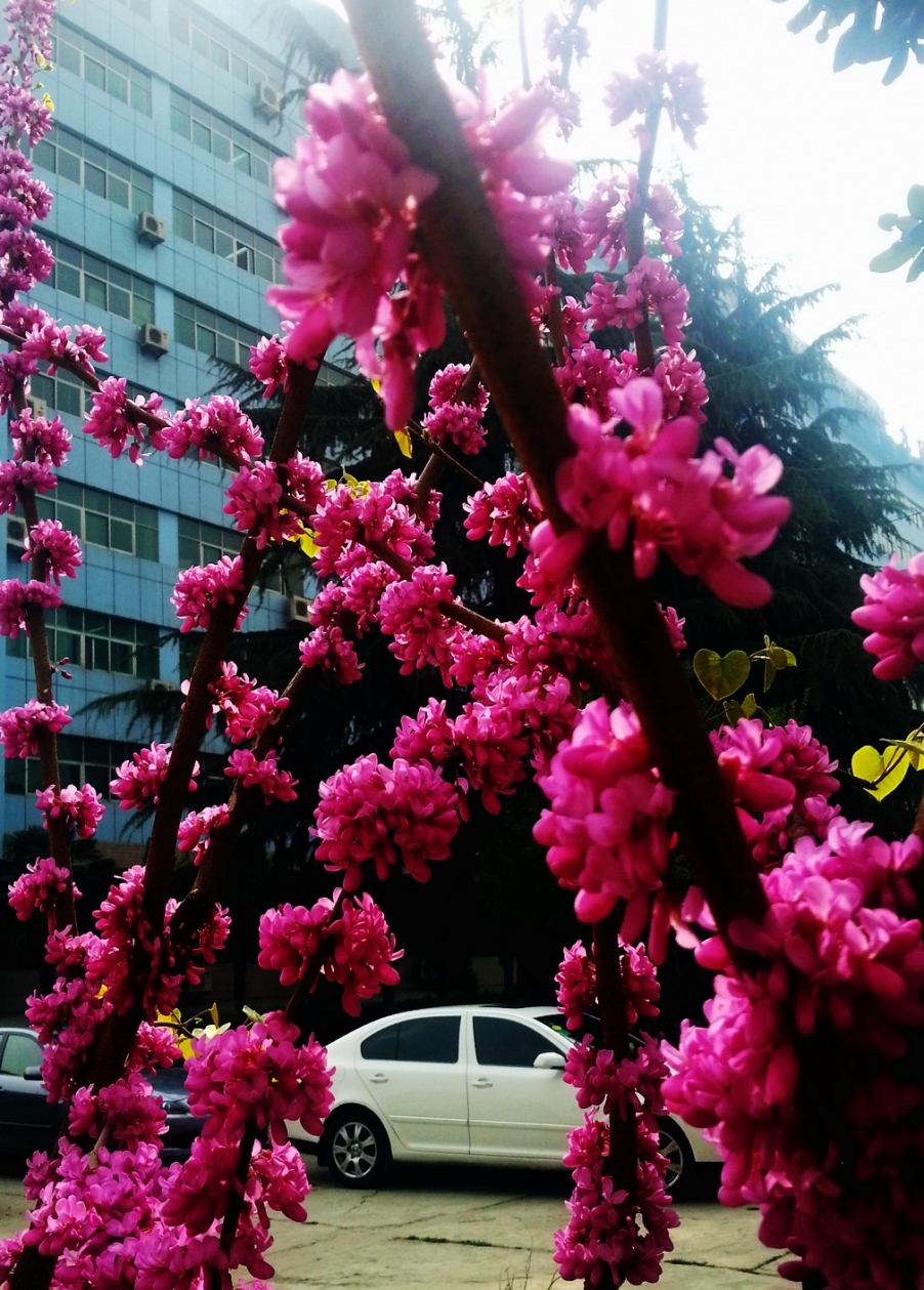 20130322_144911.jpg