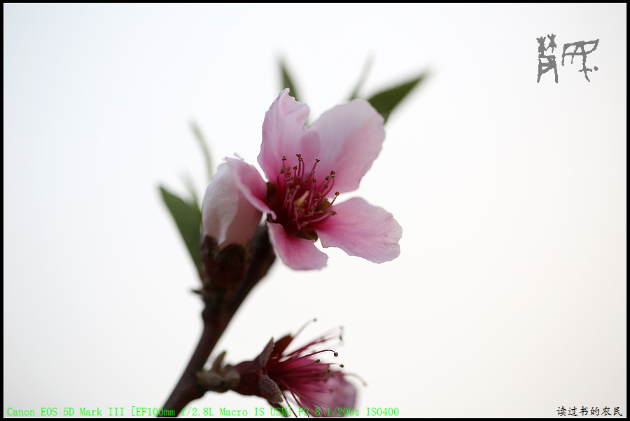 5D3A1308.jpg