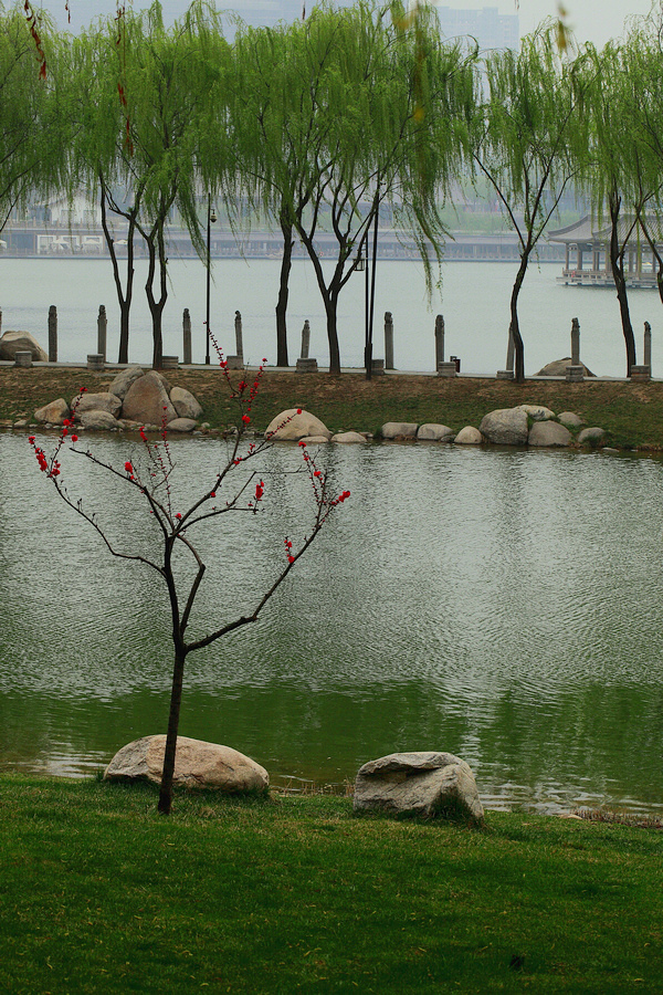 _MG_8374.jpg