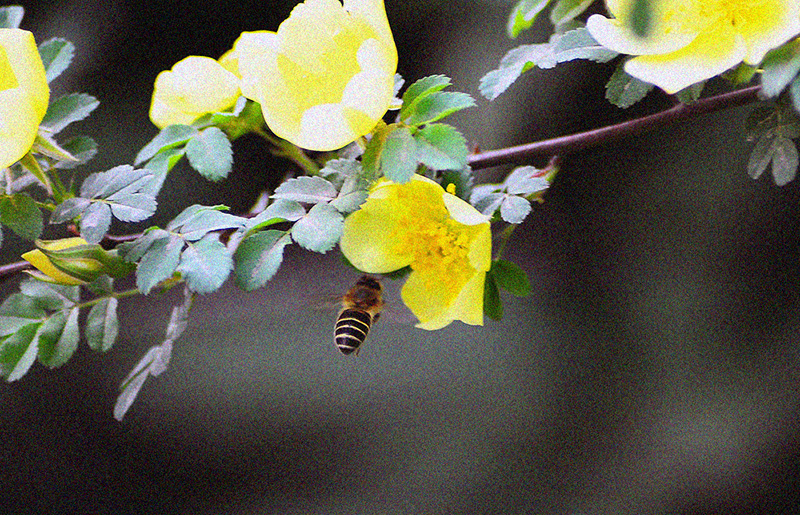DSC_1081.jpg