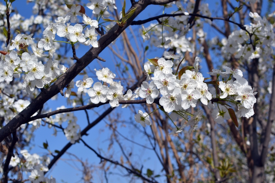 DSC_0485副本.jpg