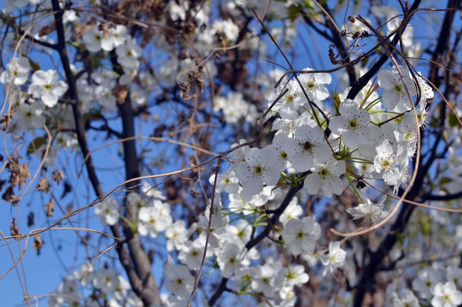 DSC_0495副本.jpg