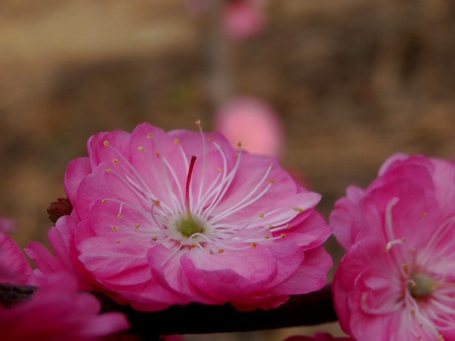 DSC00330A_调整大小.jpg