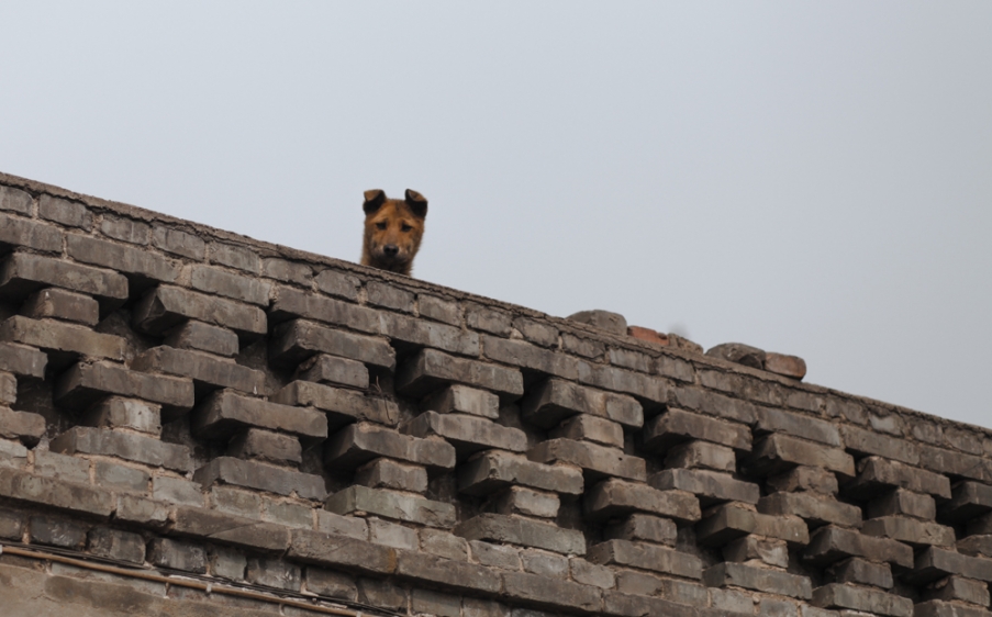 20130331-IMG_4734.jpg
