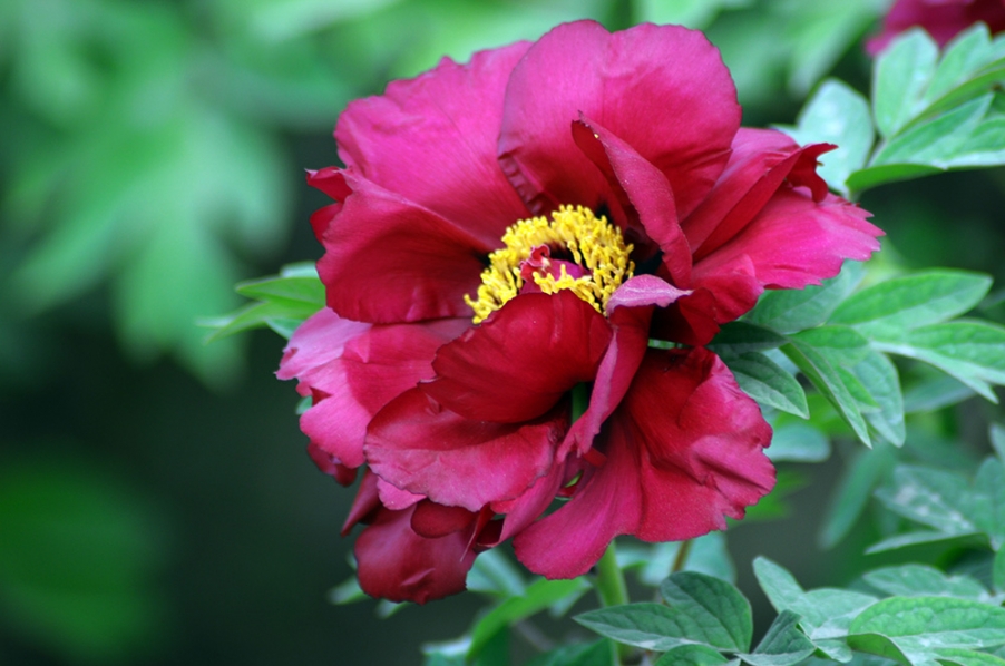 DSC_0021.jpg