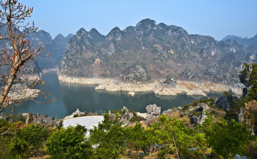 DSC_8015.jpg