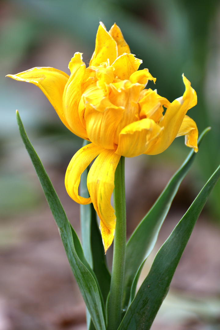 DSC_3051.jpg