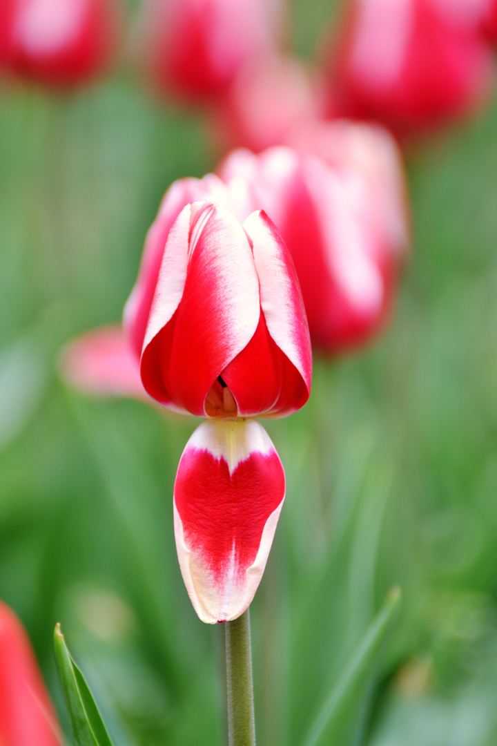 DSC_3104.jpg