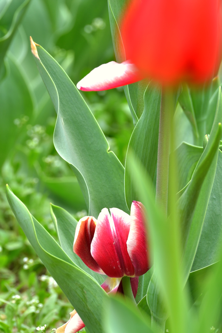 DSC_3110.jpg