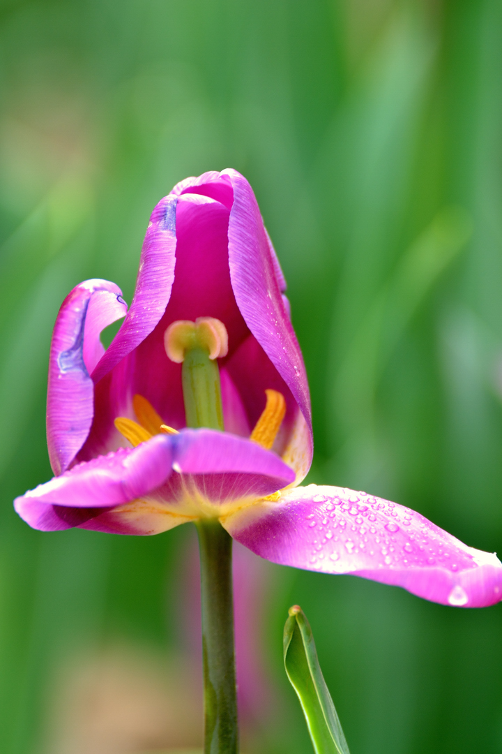 DSC_3118.jpg